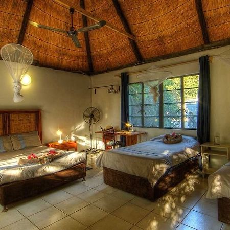 Okavango River Lodge Maun Ngoại thất bức ảnh