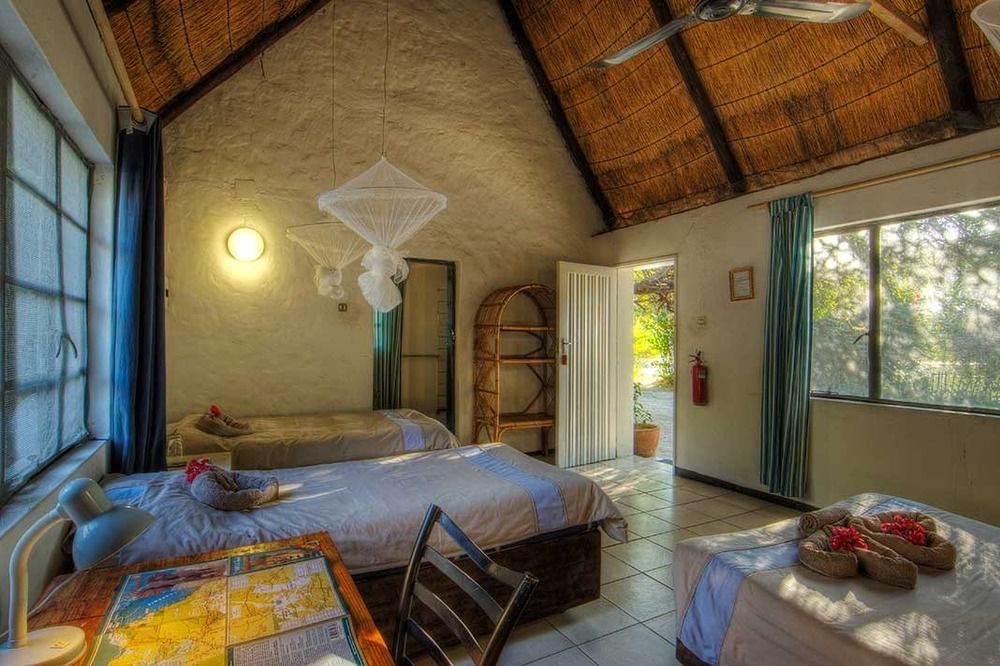 Okavango River Lodge Maun Ngoại thất bức ảnh